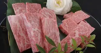 Savourez l'exception tout savoir sur la viande de Kobe