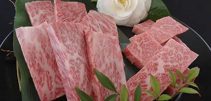 Savourez l'exception tout savoir sur la viande de Kobe